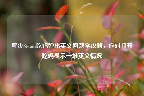 解决Steam吃鸡弹出英文问题全攻略，应对打开吃鸡显示一堆英文情况