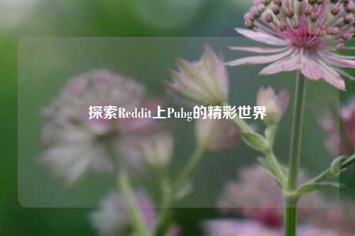 探索Reddit上Pubg的精彩世界