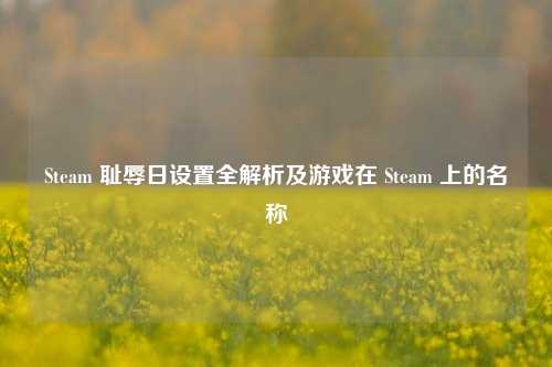 Steam 耻辱日设置全解析及游戏在 Steam 上的名称