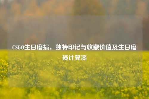 CSGO生日磨损,独特印记与收藏价值及生日磨损计算器