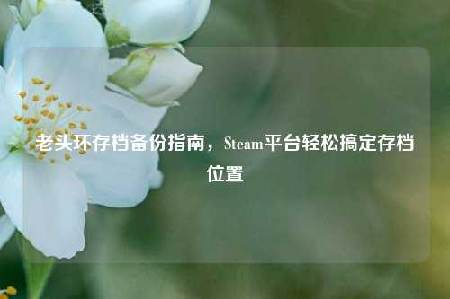 老头环存档备份指南，Steam平台轻松搞定存档位置