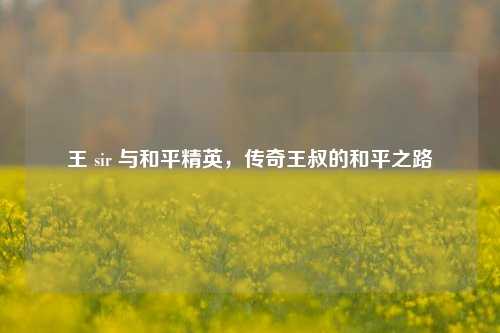 王 sir 与和平精英,传奇王叔的和平之路