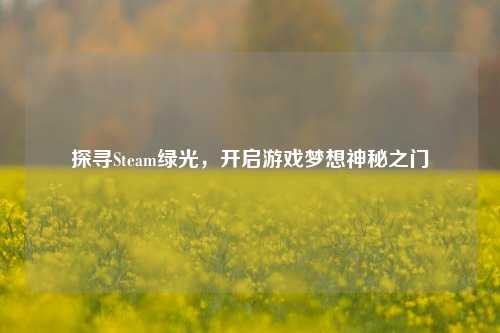 探寻Steam绿光,开启游戏梦想神秘之门