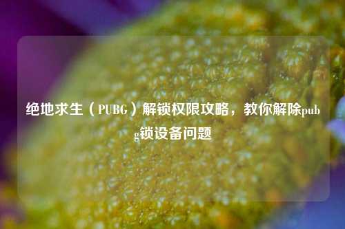 绝地求生(PUBG)解锁权限攻略,教你解除pubg锁设备问题