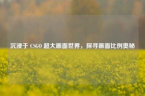 沉浸于 CSGO 超大画面世界,探寻画面比例奥秘