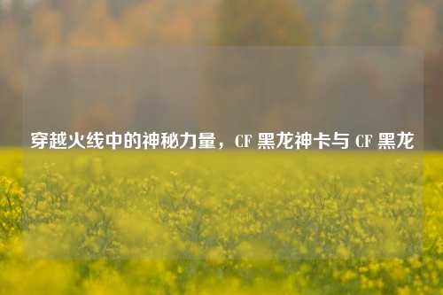 穿越火线中的神秘力量,CF 黑龙神卡与 CF 黑龙