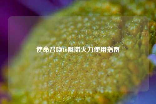 使命召唤16阻滞火力使用指南