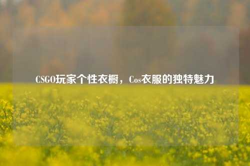CSGO玩家个性衣橱,Cos衣服的独特魅力