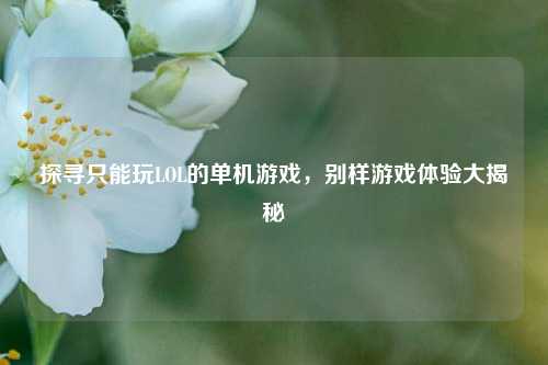 探寻只能玩LOL的单机游戏，别样游戏体验大揭秘
