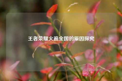 王者荣耀火遍全国的原因探究