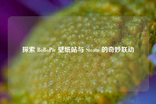 探索 BoBoPic 壁纸站与 Steam 的奇妙联动