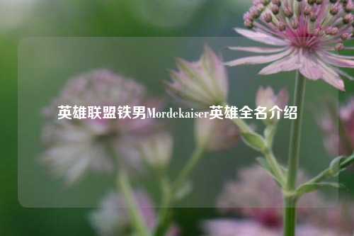 英雄联盟铁男Mordekaiser英雄全名介绍