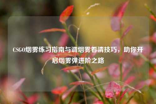 CSGO烟雾练习指南与调烟雾看清技巧,助你开启烟雾弹进阶之路