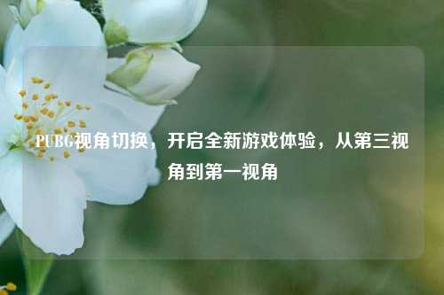 PUBG视角切换，开启全新游戏体验，从第三视角到第一视角