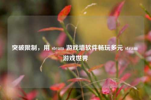 突破限制,用 steam 游戏墙软件畅玩多元 steam 游戏世界