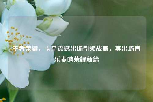 王者荣耀,卡皇震撼出场引领战局,其出场音乐奏响荣耀新篇
