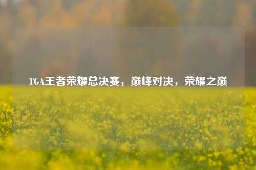 TGA王者荣耀总决赛,巅峰对决,荣耀之巅