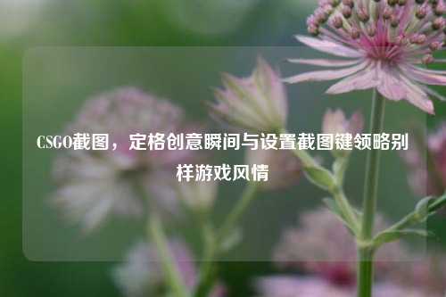 CSGO截图,定格创意瞬间与设置截图键领略别样游戏风情