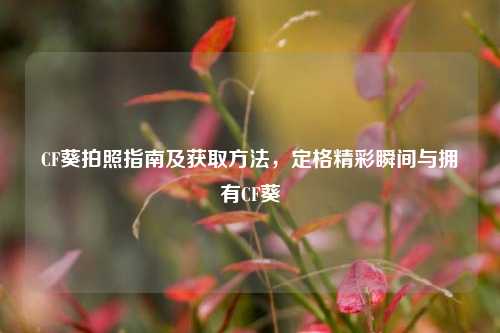 CF葵拍照指南及获取方法，定格精彩瞬间与拥有CF葵