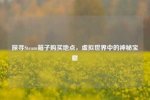 探寻Steam箱子购买地点,虚拟世界中的神秘宝藏