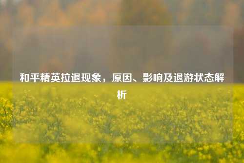 和平精英拉退现象,原因、影响及退游状态解析