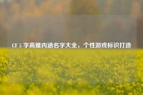 CF 5 字高雅内涵名字大全，个性游戏标识打造