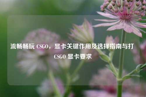 流畅畅玩 CSGO,显卡关键作用及选择指南与打 CSGO 显卡要求