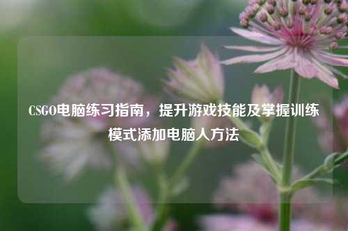 CSGO电脑练习指南,提升游戏技能及掌握训练模式添加电脑人方法