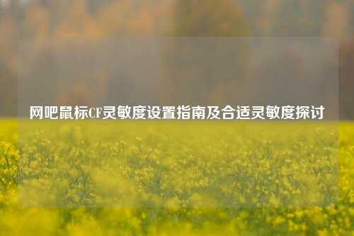 网吧鼠标CF灵敏度设置指南及合适灵敏度探讨