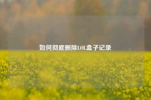 如何彻底删除LOL盒子记录