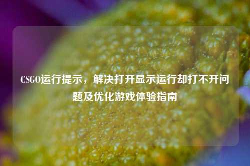 CSGO运行提示，解决打开显示运行却打不开问题及优化游戏体验指南