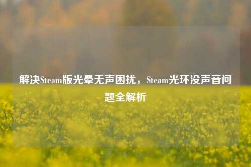 解决Steam版光晕无声困扰,Steam光环没声音问题全解析