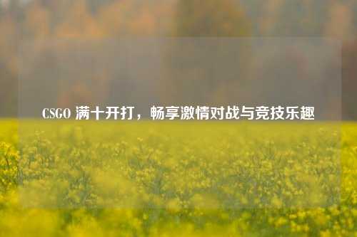 CSGO 满十开打，畅享激情对战与竞技乐趣