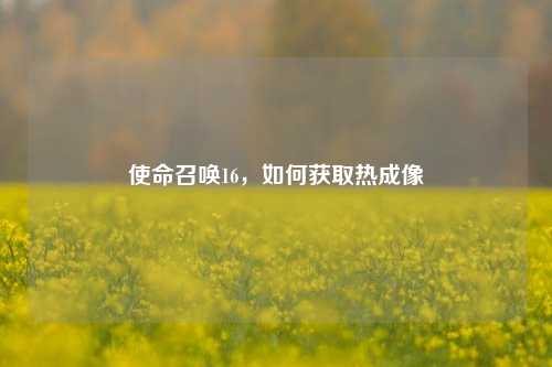 使命召唤16,如何获取热成像