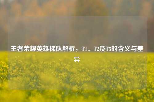 王者荣耀英雄梯队解析，T1、T2及T3的含义与差异