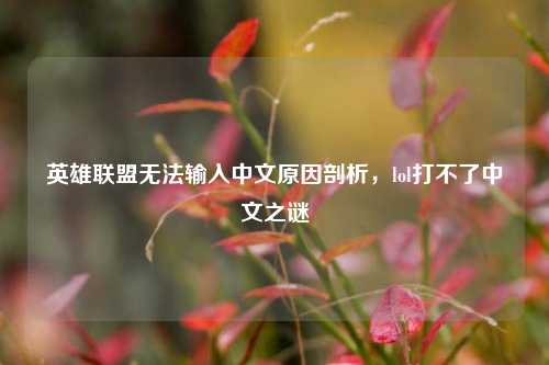 英雄联盟无法输入中文原因剖析,lol打不了中文之谜