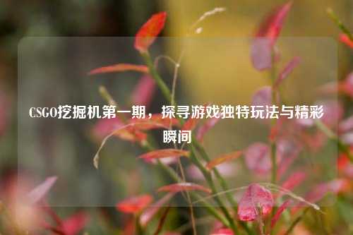 CSGO挖掘机第一期,探寻游戏独特玩法与精彩瞬间