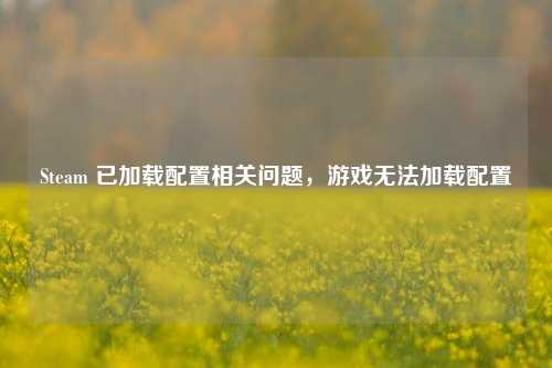 Steam 已加载配置相关问题,游戏无法加载配置