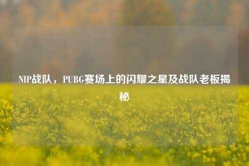 NIP战队,PUBG赛场上的闪耀之星及战队老板揭秘
