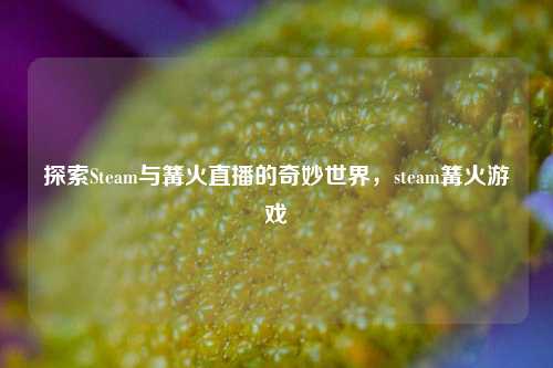 探索Steam与篝火直播的奇妙世界,steam篝火游戏