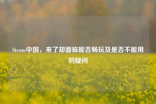 Steam中国,来了却面临能否畅玩及是否不能用的疑问