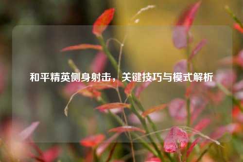 和平精英侧身射击,关键技巧与模式解析