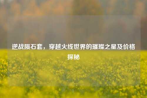 逆战陨石套,穿越火线世界的璀璨之星及价格探秘