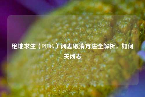绝地求生(PUBG)闭麦取消方法全解析,如何关闭麦