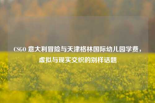 CSGO 意大利冒险与天津格林国际幼儿园学费,虚拟与现实交织的别样话题