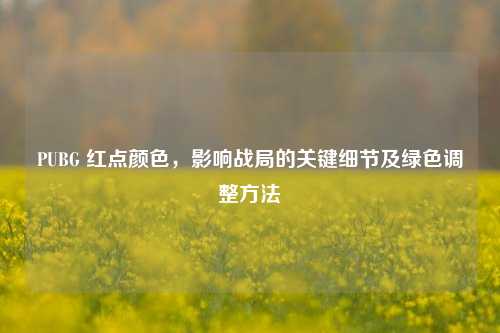 PUBG 红点颜色,影响战局的关键细节及绿色调整方法