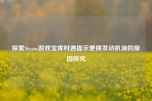 探索Steam游戏宝库时遇提示更换发动机油的原因探究
