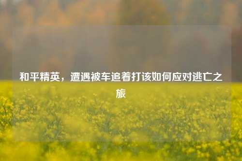 和平精英，遭遇被车追着打该如何应对逃亡之旅