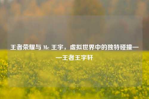 王者荣耀与 Mc 王宇，虚拟世界中的独特碰撞——王者王宇轩