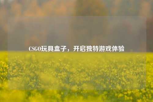 CSGO玩具盒子,开启独特游戏体验